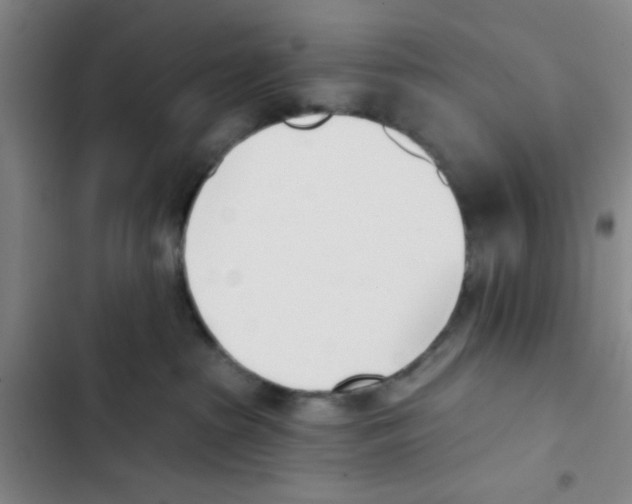 X0000102870285200809151242