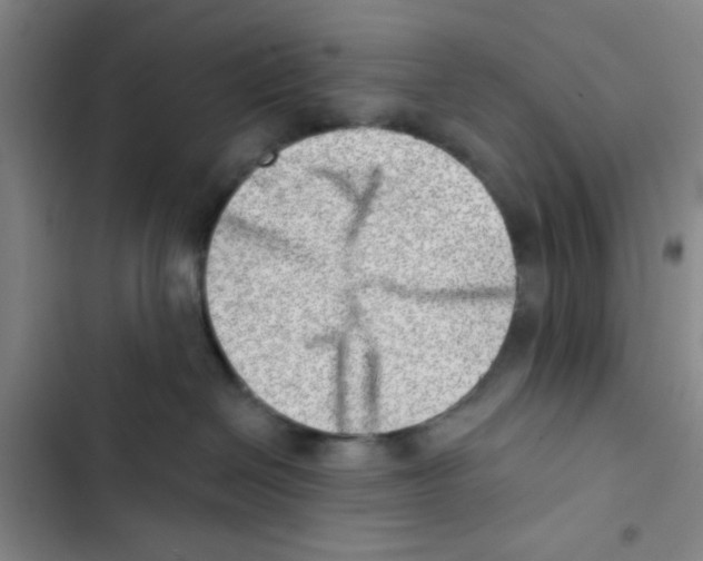 X0000102870286200809151242