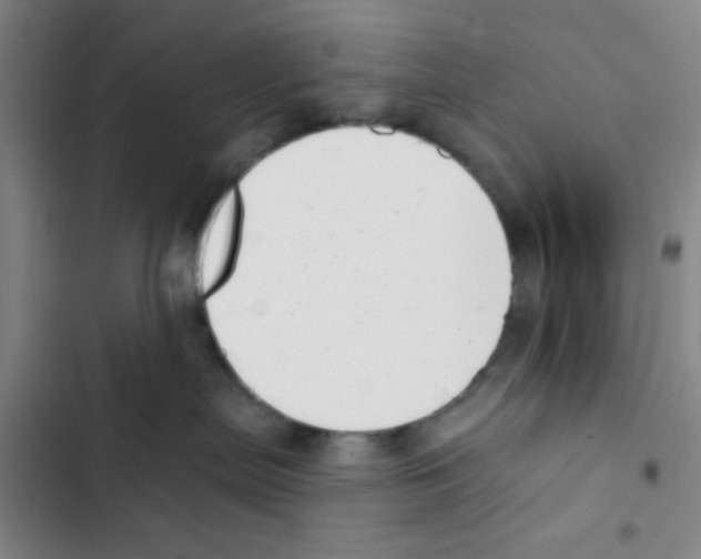 X0000102870287200809151242