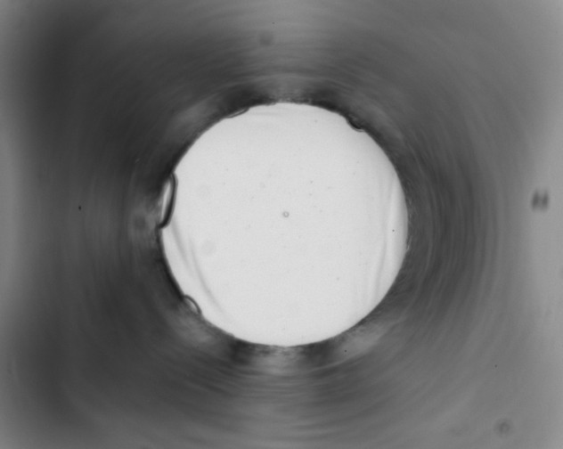 X0000102870288200809151242