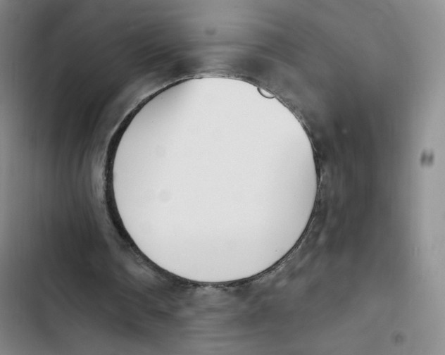 X0000102870290200809151242
