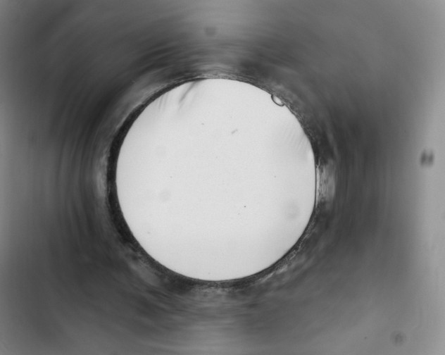 X0000102870291200809151242