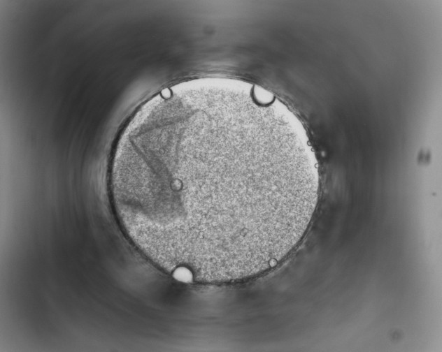 X0000102870293200809151242