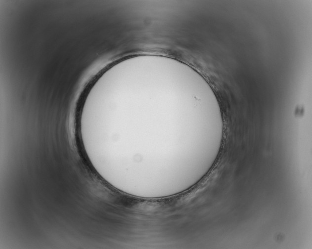 X0000102870294200809151242