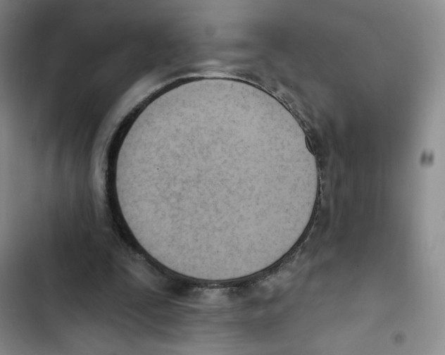X0000102870295200809151242