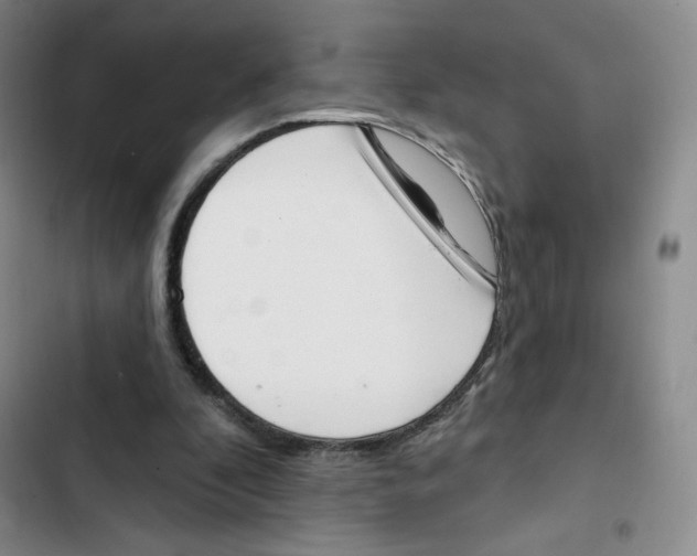X0000102870296200809151242