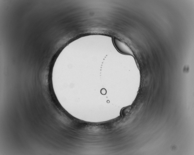 X0000102870299200809151242