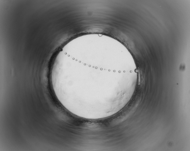X0000102870300200809151242
