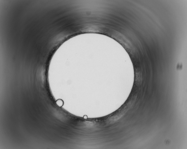 X0000102870302200809151242