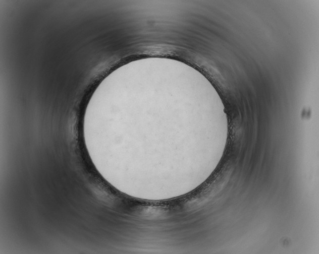X0000102870303200809151242