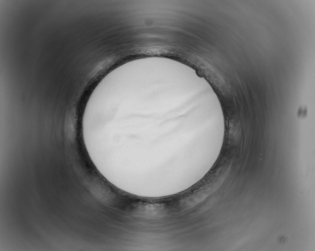 X0000102870304200809151242