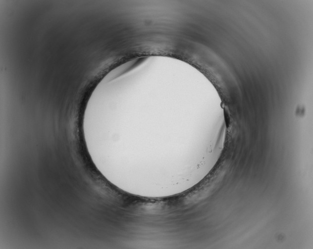 X0000102870306200809151241