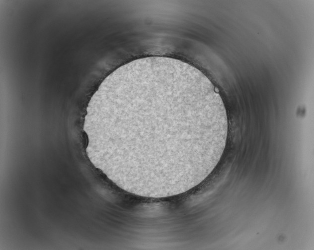 X0000102870307200809151241
