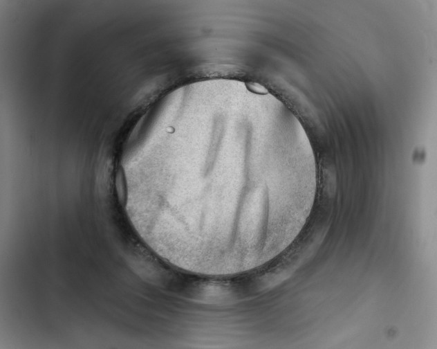 X0000102870308200809151241
