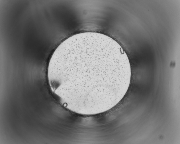 X0000102870309200809151241