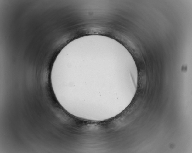 X0000102870310200809151241