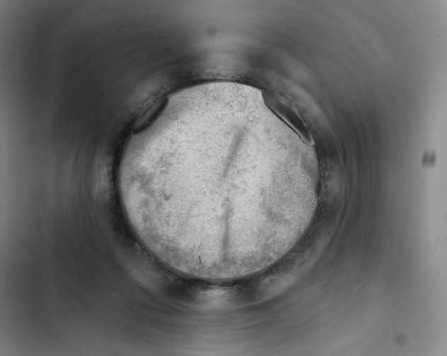 X0000102870312200809151241