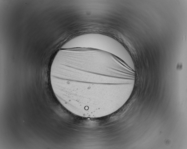 X0000102870313200809151241
