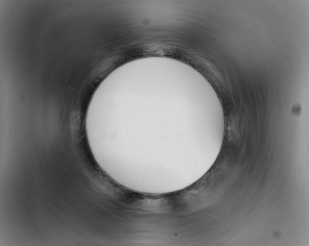 X0000102870314200809151241