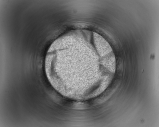X0000102870315200809151241