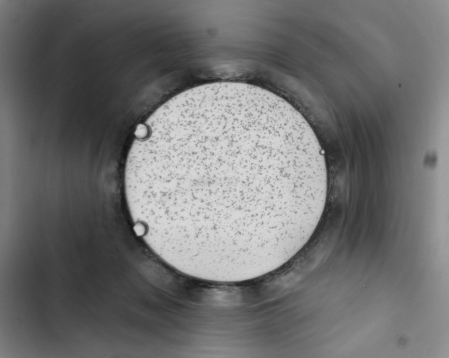 X0000102870317200809151241