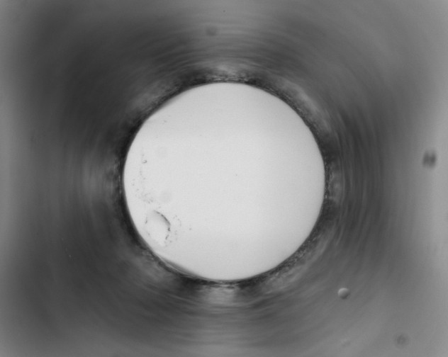 X0000102870318200809151241