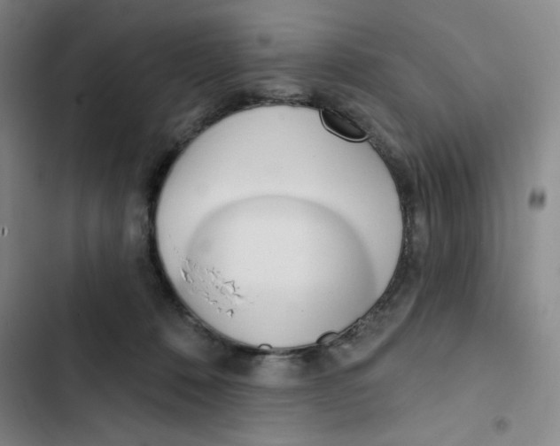 X0000102870320200809151241