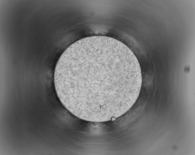 X0000102870321200809151241