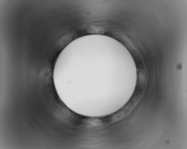 X0000102870322200809151241