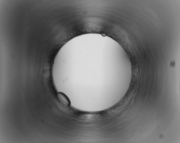 X0000102870323200809151241