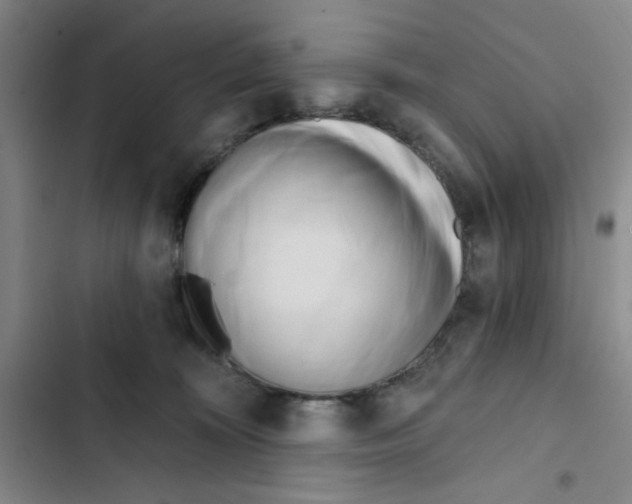 X0000102870324200809151241