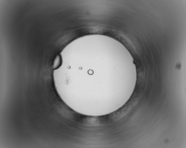 X0000102870325200809151241