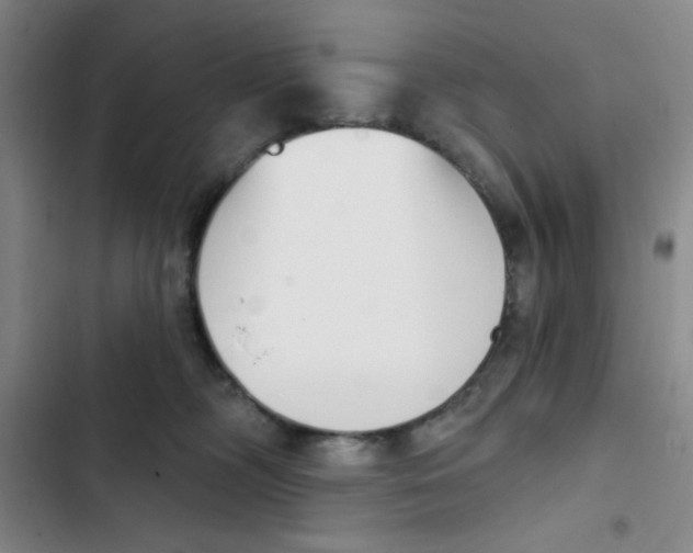X0000102870326200809151241