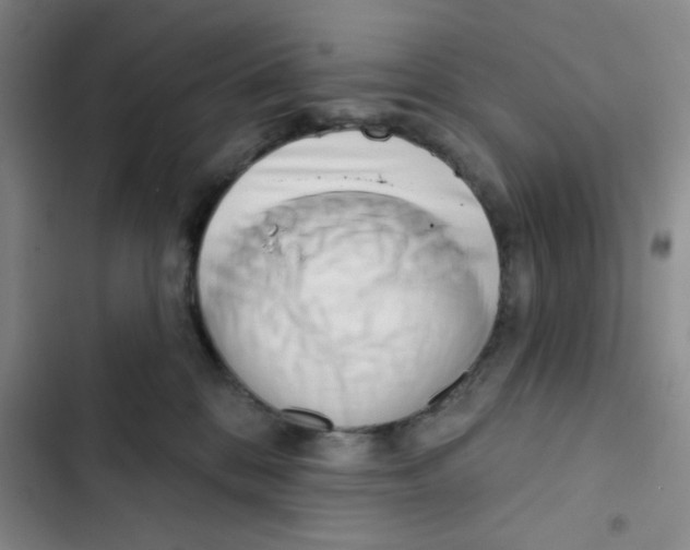 X0000102870328200809151241