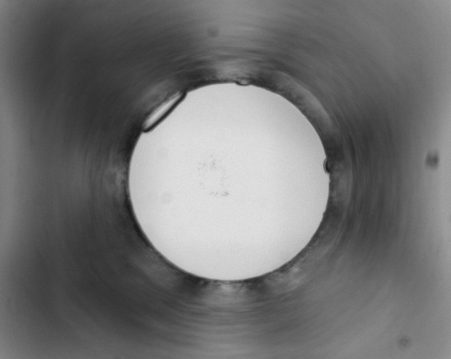 X0000102870329200809151241