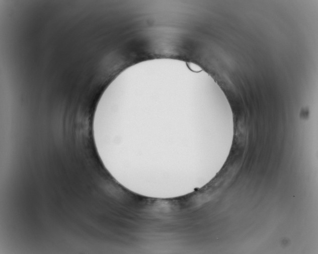 X0000102870330200809151241