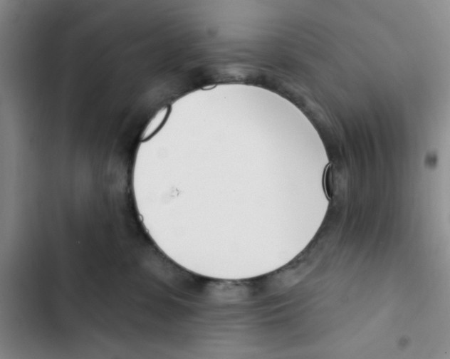 X0000102870331200809151241