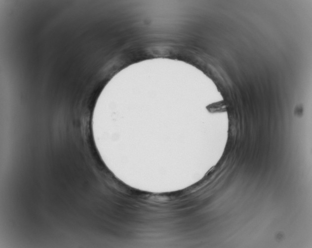 X0000102870332200809151241