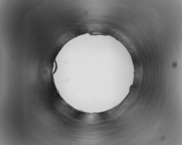 X0000102870333200809151241