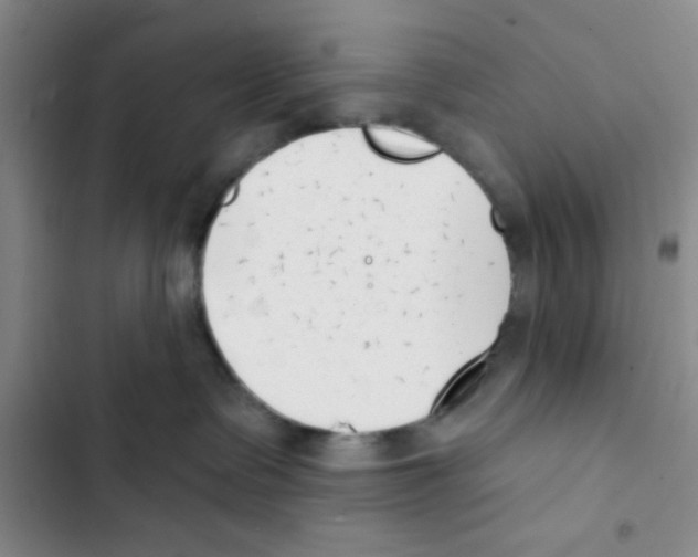 X0000102870335200809151241