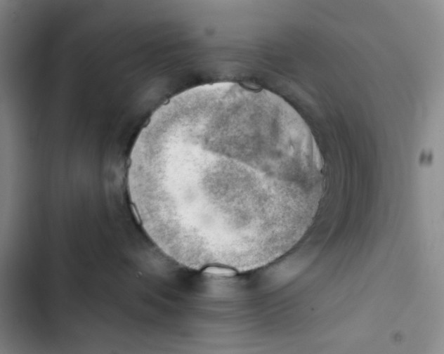 X0000102870336200809151241