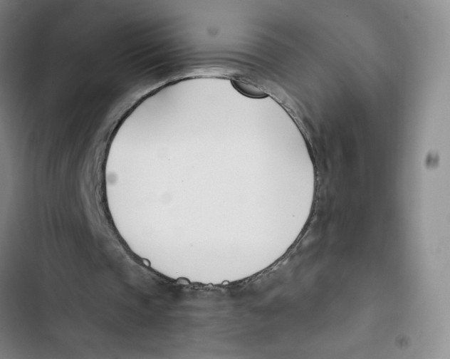 X0000102870337200809151240