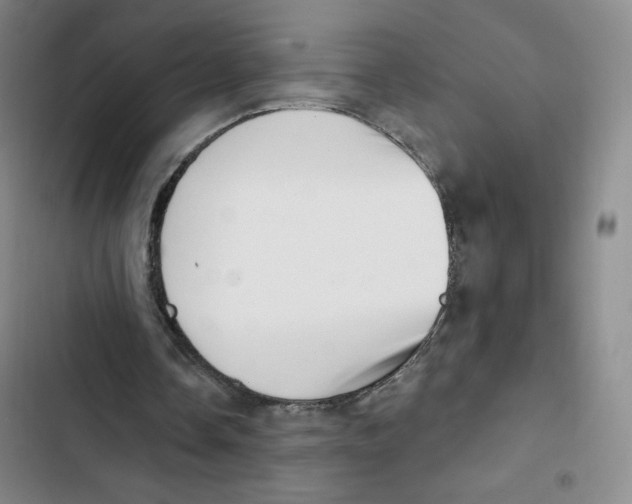 X0000102870338200809151240