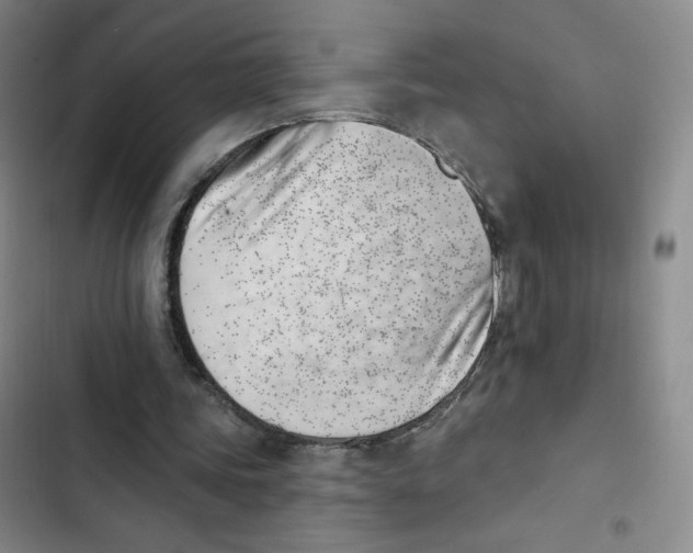 X0000102870339200809151240