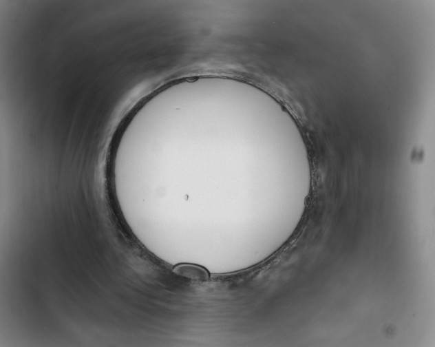 X0000102870340200809151240