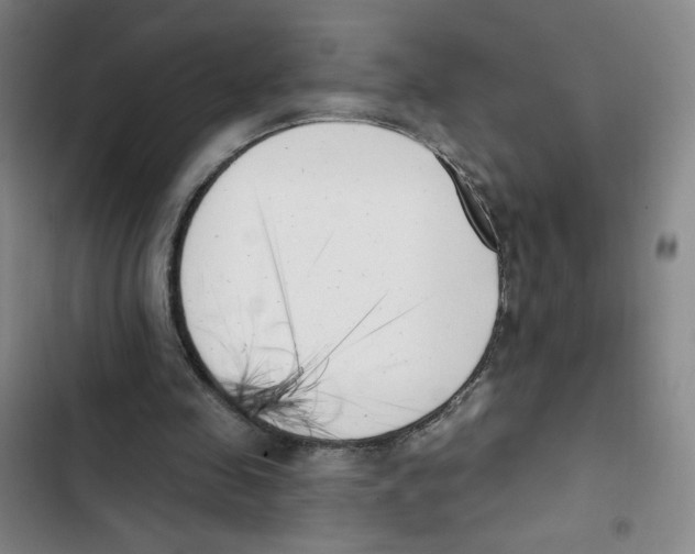 X0000102870341200809151240
