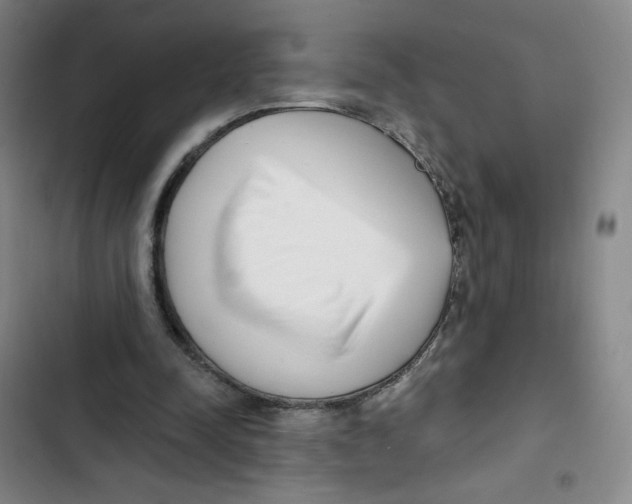 X0000102870342200809151240