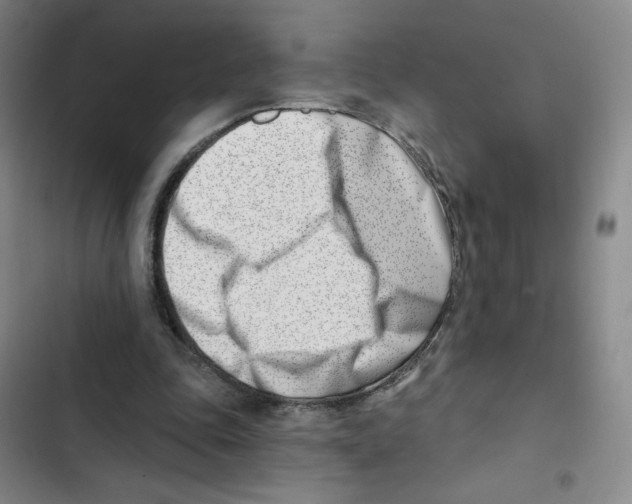 X0000102870343200809151240