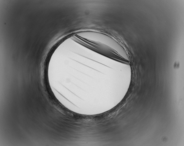 X0000102870344200809151240