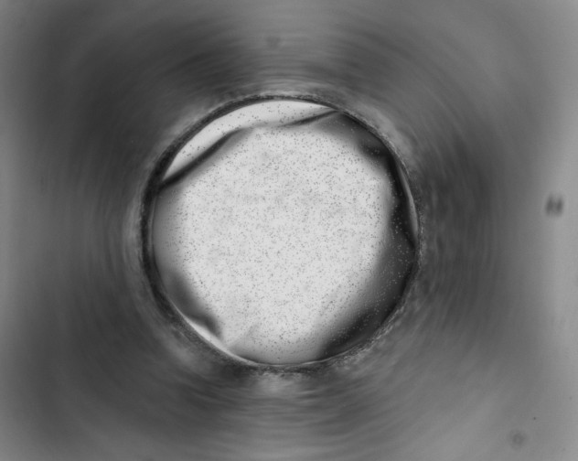 X0000102870346200809151240